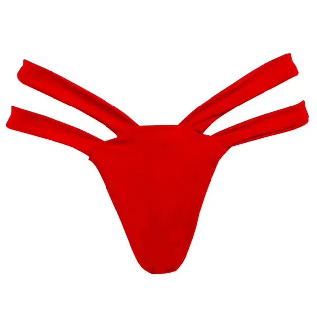 Women's Swimming Suit Brazilian Bikini Bottoms 2018 Swimwear Women Thong Briefs Bathing Panties for Women Underwear